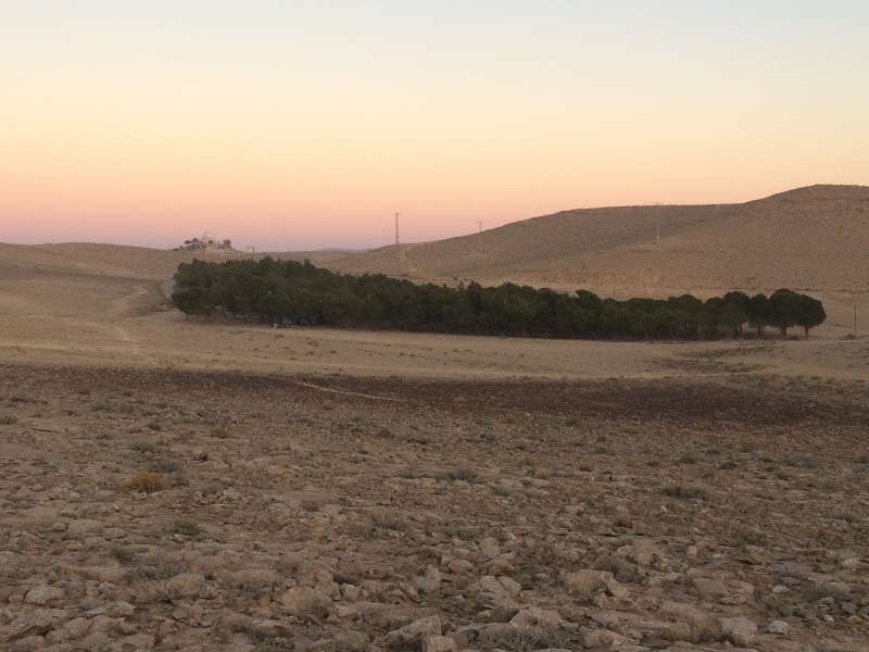 קובץ:החורשה באנדרטת בועז 01.JPG