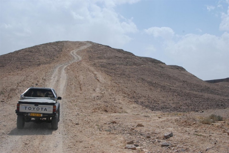 קובץ:היילקס במדבר ןהשביל בזיגזג.jpg