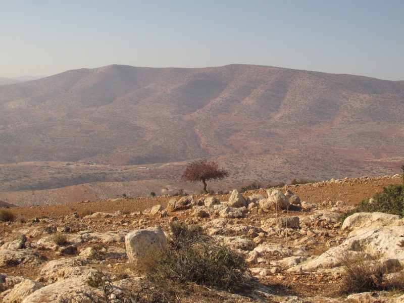 קובץ:הרגדירמצפון.JPG