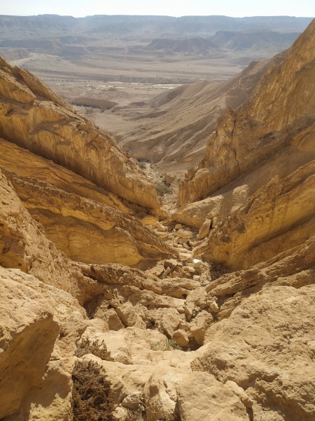 קובץ:הרהורים1.jpg