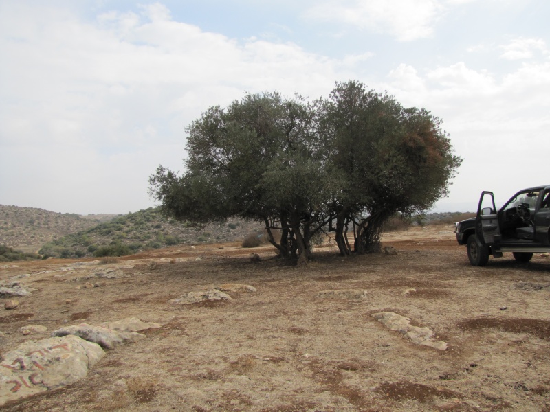 קובץ:הרי יהודה 008.JPG