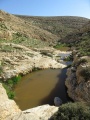 תמונה ממוזערת לגרסה מתאריך 13:21, 17 בפברואר 2016