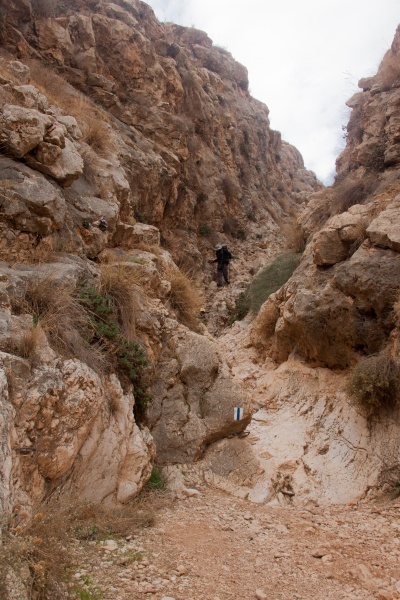 קובץ:ואדי פיראן ותלכיד 31-12-2017-63.jpg