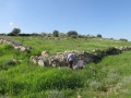 תמונה ממוזערת לגרסה מתאריך 11:26, 14 בפברואר 2015