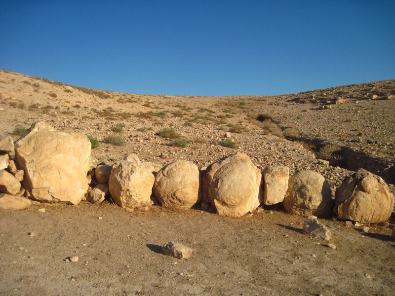 קובץ:חומתבולבוסים.JPG