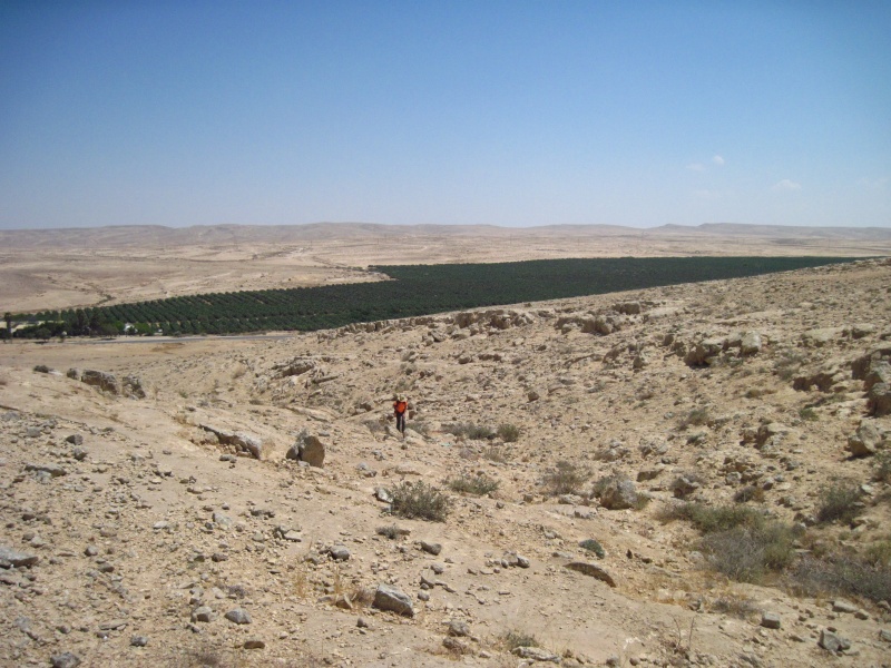 קובץ:חותאורלי.JPG