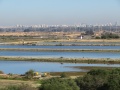 תמונה ממוזערת לגרסה מתאריך 09:03, 1 בינואר 2017