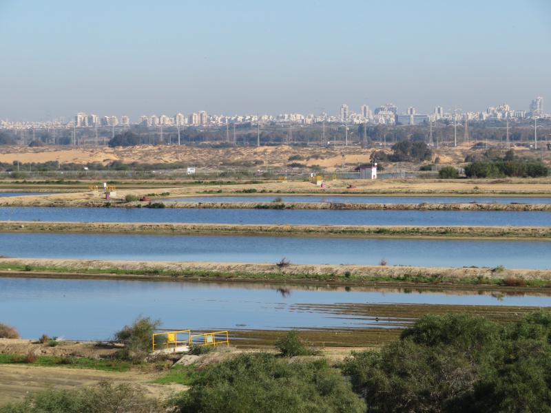 קובץ:חמצוןיבנהמחלף.JPG