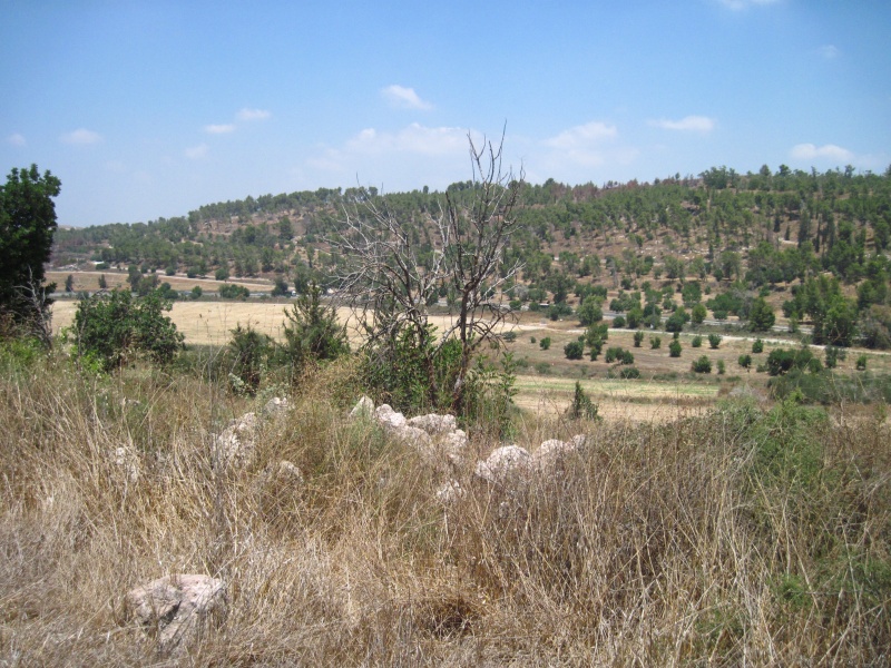 קובץ:חרבהתרום.JPG