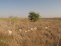 תמונה ממוזערת לגרסה מתאריך 16:43, 15 באוגוסט 2014