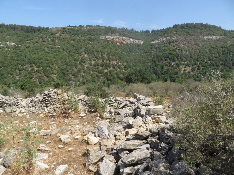 קובץ:חרבתבצתצניר.jpg