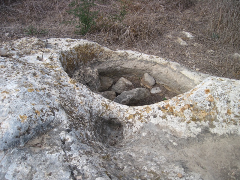 קובץ:חרבתחרמש.JPG