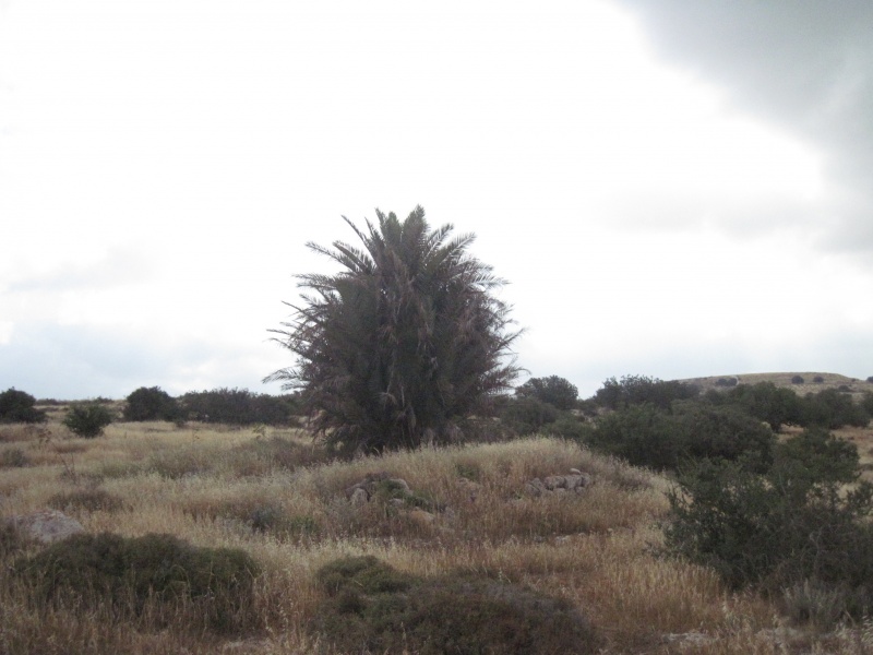 קובץ:חרבתלעדה.JPG