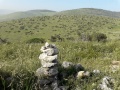 תמונה ממוזערת לגרסה מתאריך 17:55, 9 באפריל 2019