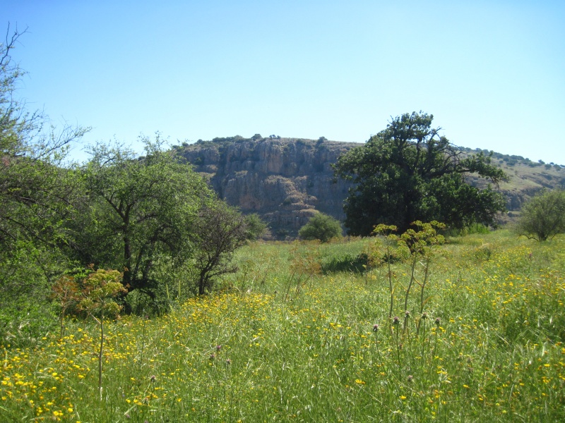 קובץ:חרבתסירין.JPG