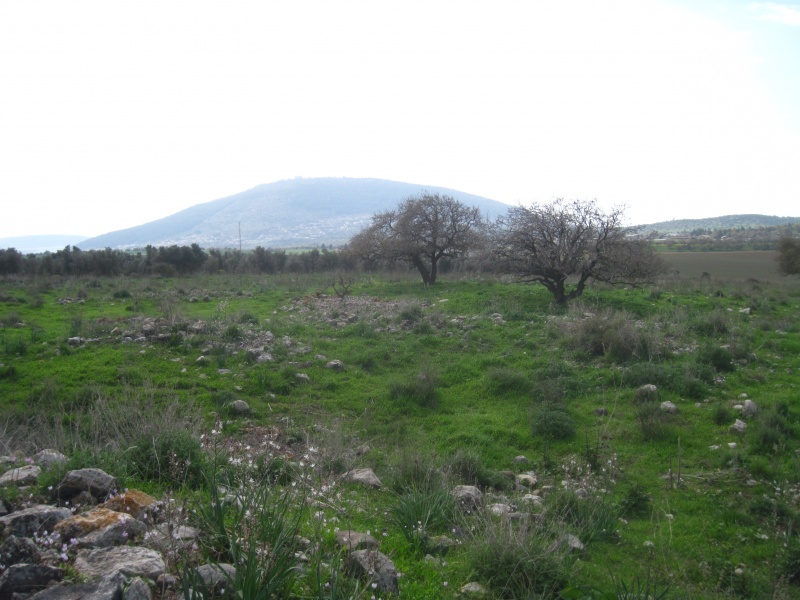 קובץ:חרבתקשתה.JPG