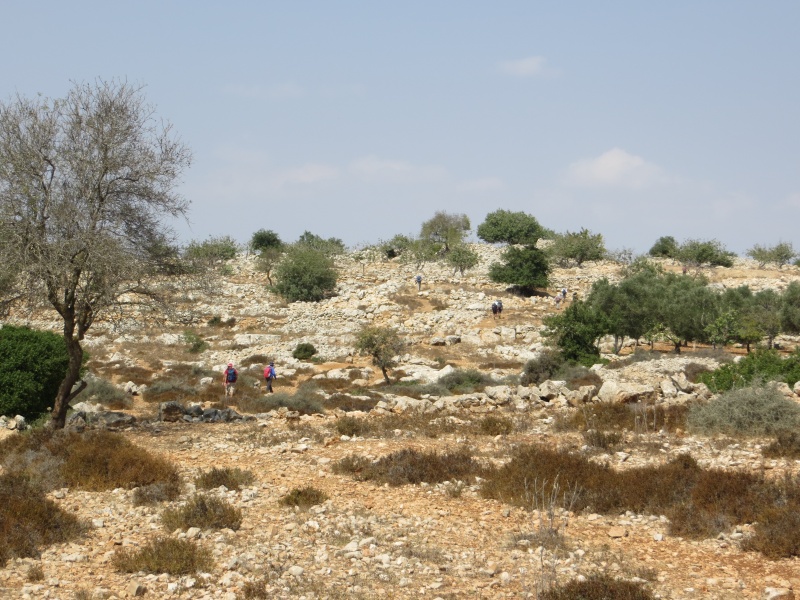 קובץ:חרבת חרשה 1.JPG