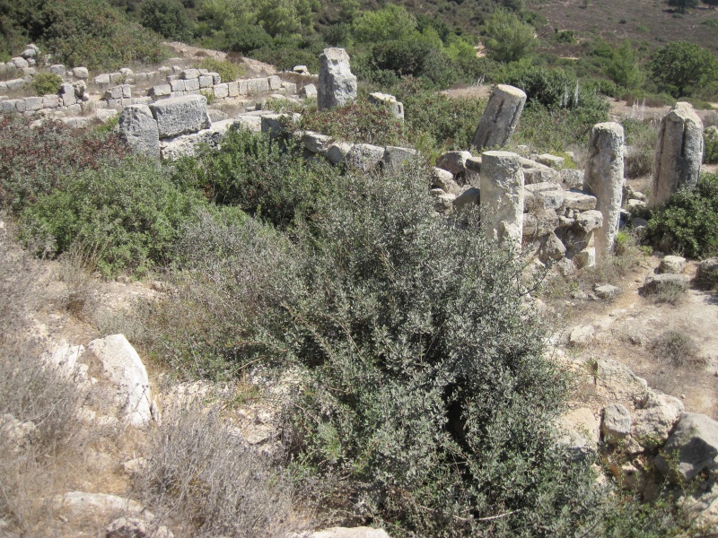 קובץ:חרבת סומק.JPG