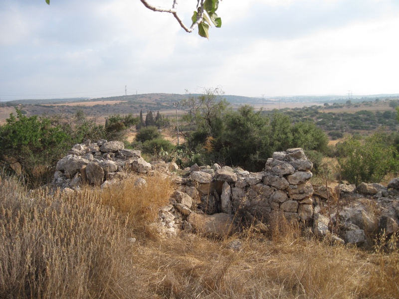 קובץ:חרבת סעוד.JPG