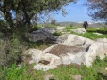 תמונה ממוזערת לגרסה מתאריך 16:47, 1 בפברואר 2015