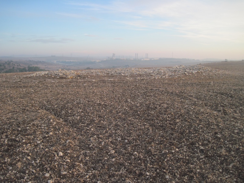 קובץ:טומולוסנוףכחחגית.JPG