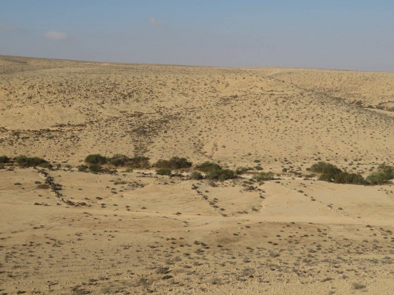 קובץ:טראסותחוטבצפון.jpg