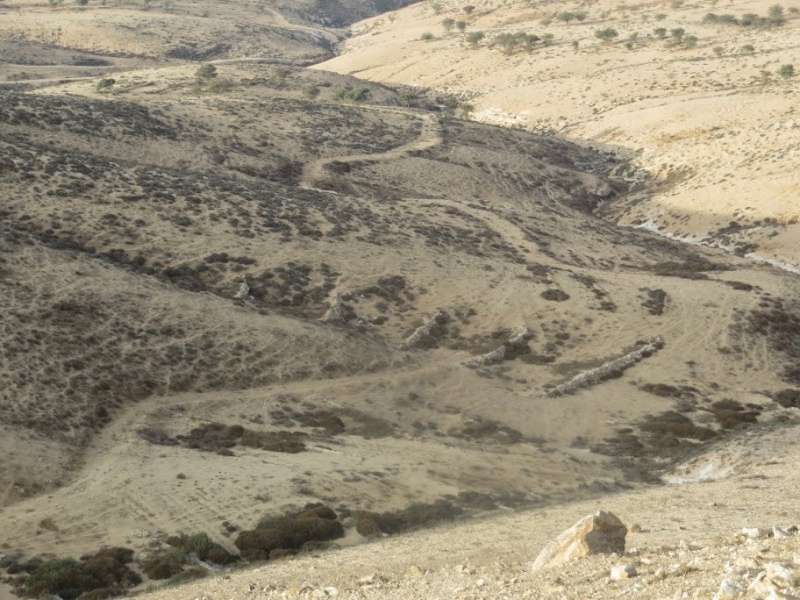 קובץ:טרסות חקלאיות.JPG