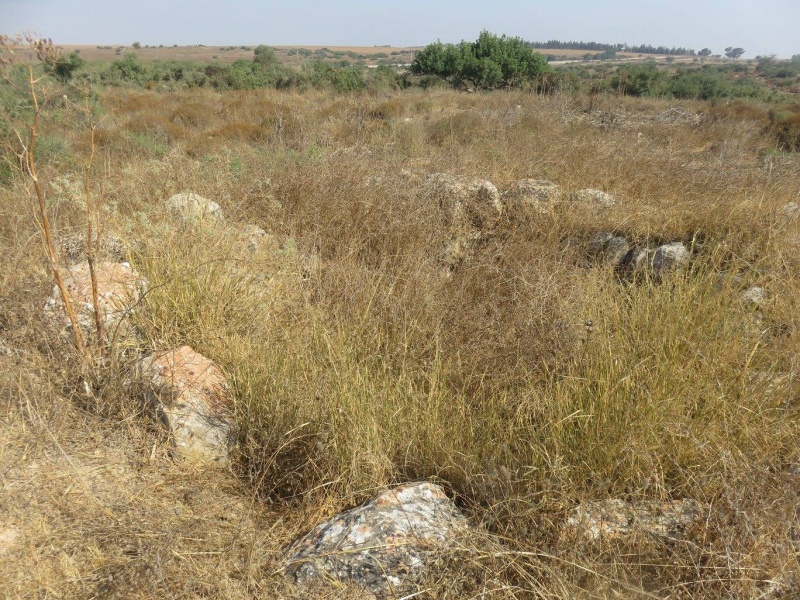 קובץ:כבשןסידגלאון.jpg