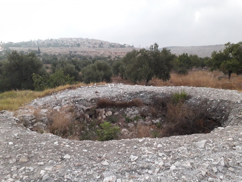 קובץ:כבשןסידעופריםא.jpg