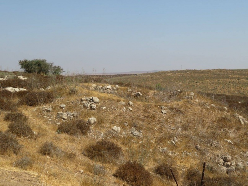 קובץ:כבשןסידשדהמשה.jpg