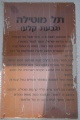 תמונה ממוזערת לגרסה מתאריך 22:49, 19 ביולי 2013