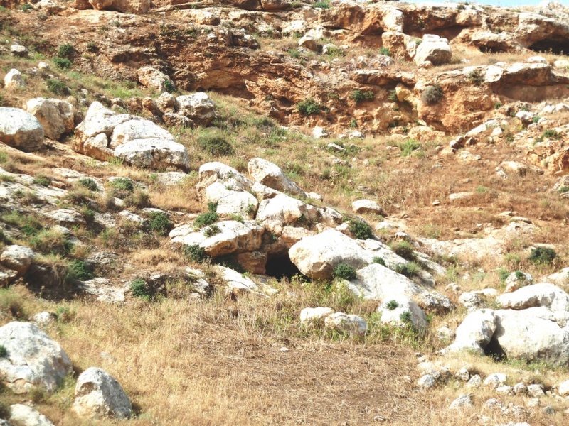 קובץ:ליד מערת אל חובשה (1).JPG