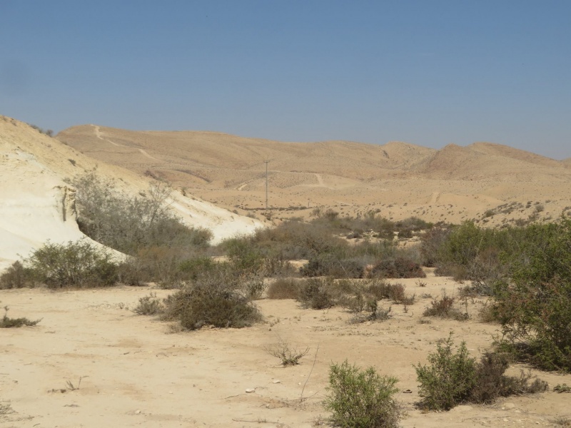 קובץ:מאגורה204ב.jpg