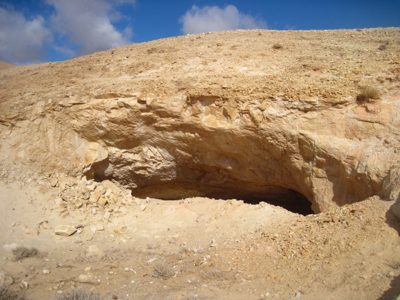 קובץ:מאגורתבדר.JPG