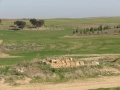 תמונה ממוזערת לגרסה מתאריך 19:15, 15 בינואר 2017