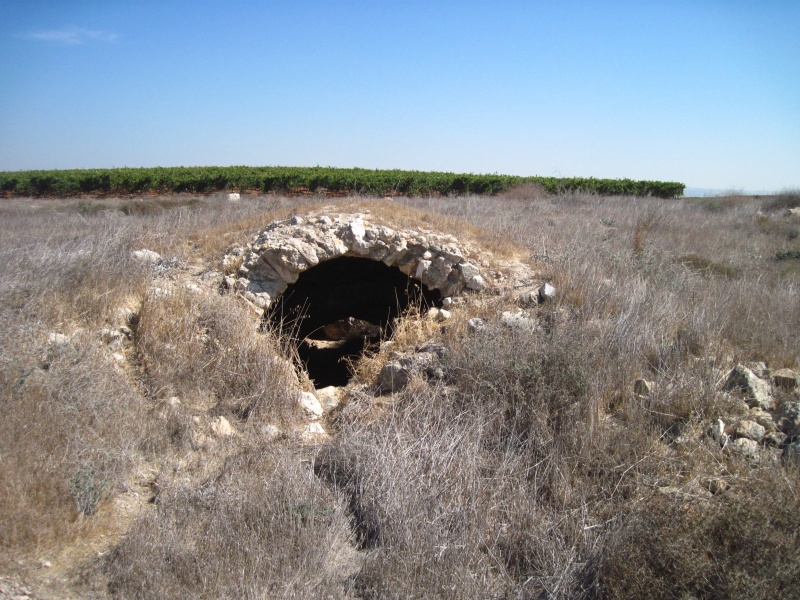 קובץ:מבנהקמרונילכיש.JPG