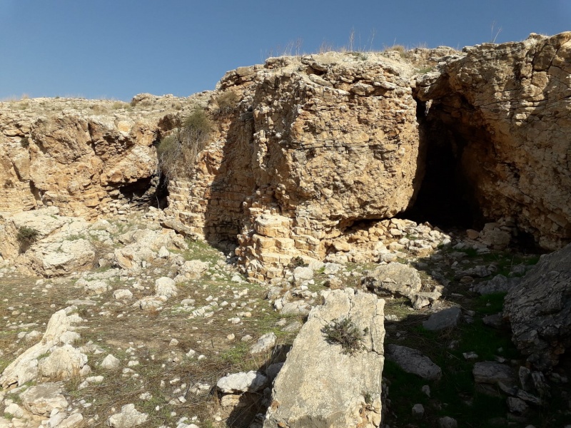 קובץ:מותקליבתב.jpg