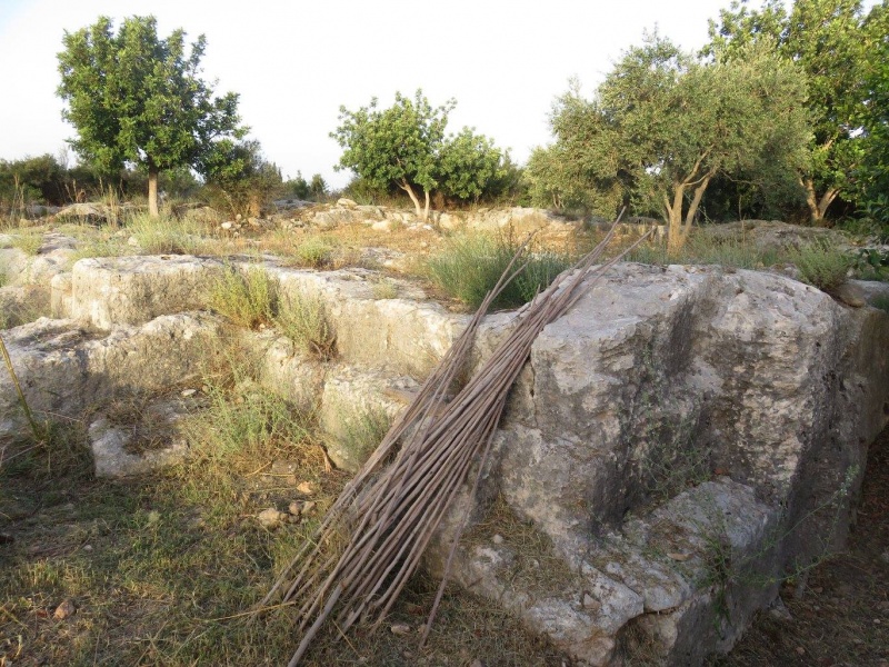 קובץ:מחצבתאלמונה.jpg