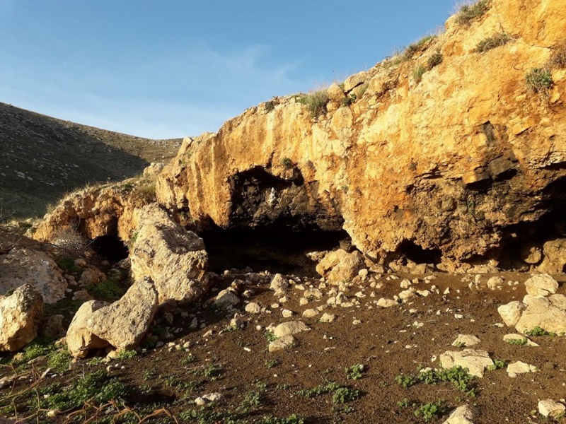 קובץ:מכלאותמכורה.jpg