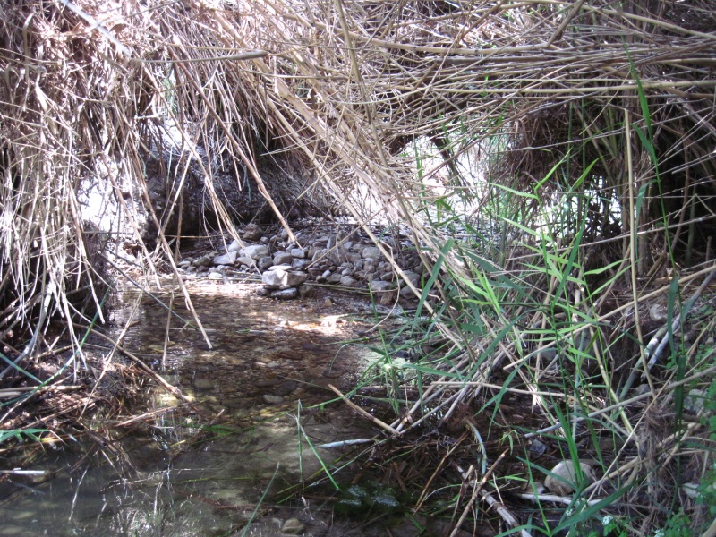 קובץ:מעייןעולם.JPG