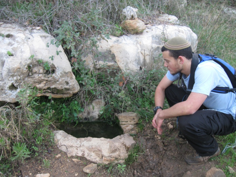 קובץ:מעיין ללא שם בואדי ארטבה.JPG