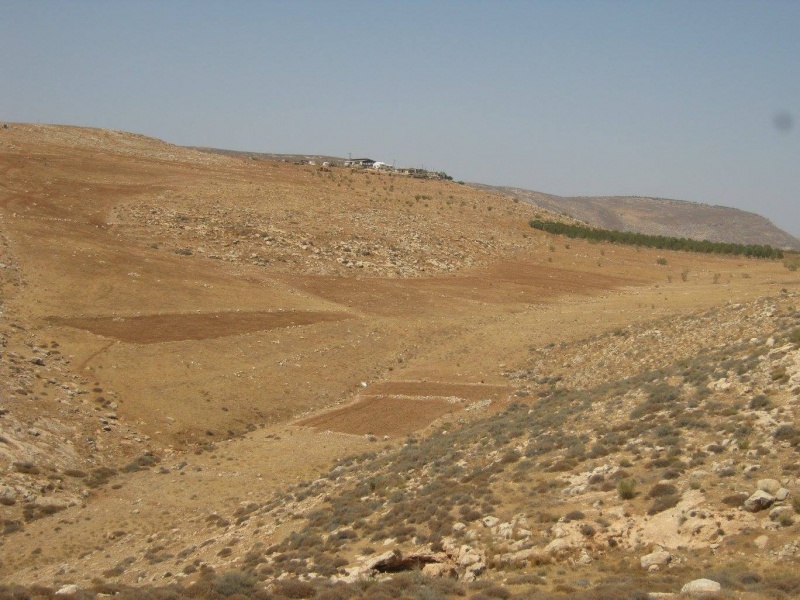 קובץ:מעלהשלמהכוכבשחר.jpg