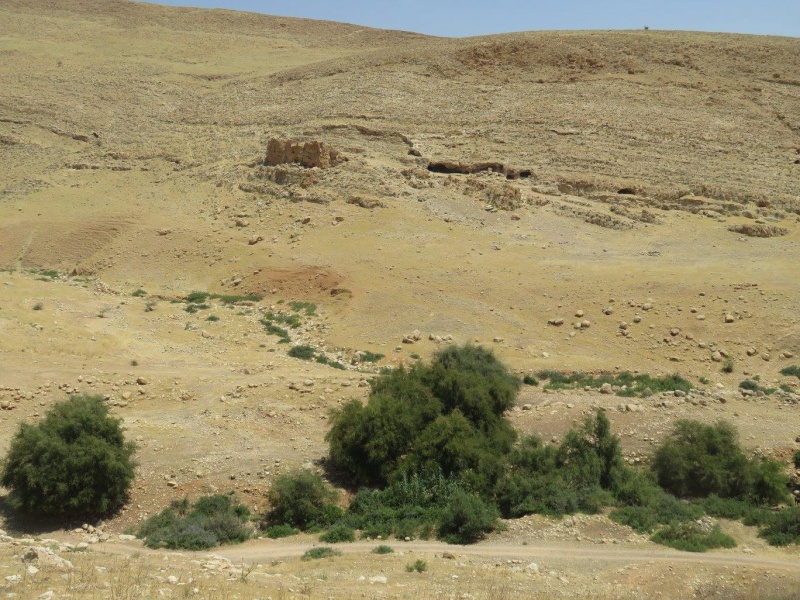 קובץ:מעראלחבלה.jpg