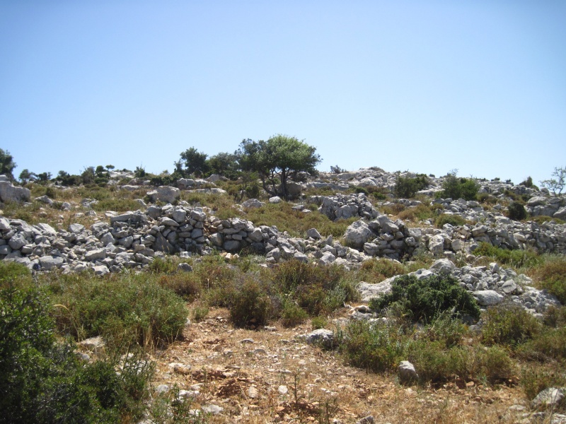 קובץ:מערביתלתלראש.JPG