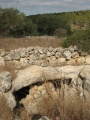 תמונה ממוזערת לגרסה מתאריך 18:08, 26 בספטמבר 2016