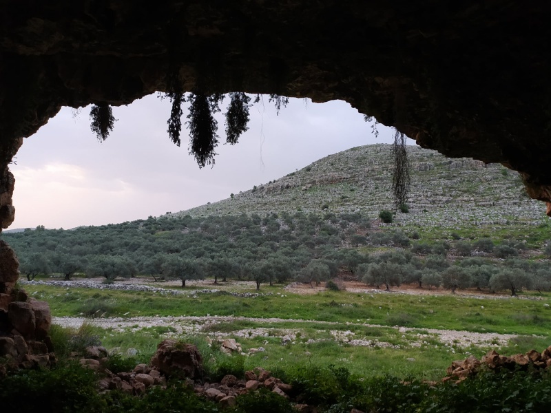 קובץ:מערמסומנתנשילה.jpg