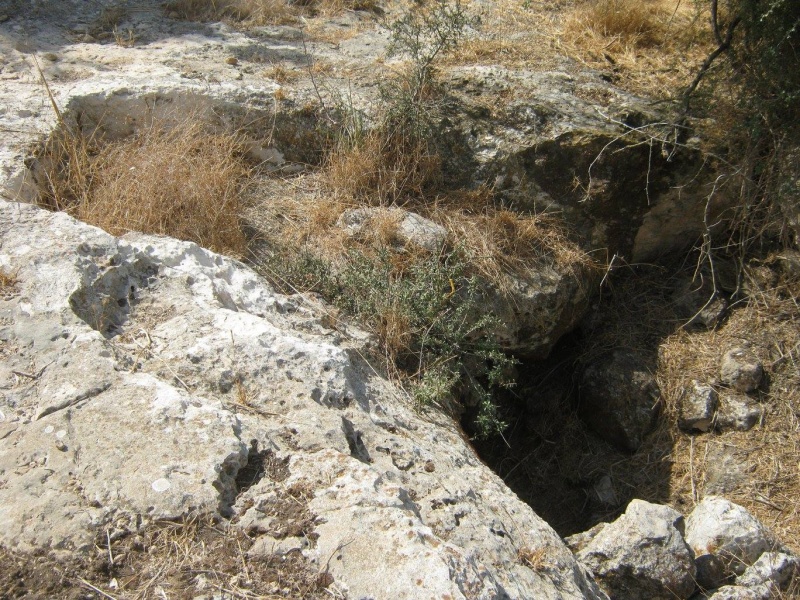 קובץ:מערתצפרירים.jpg