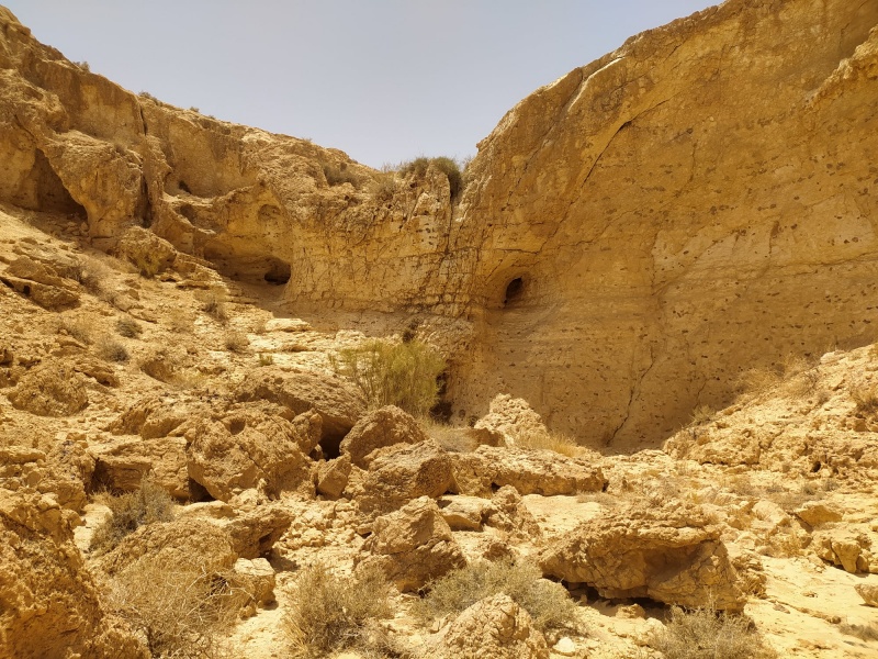 קובץ:מפלוןאמעעקר.jpg