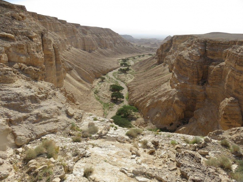 קובץ:מפלצניןעליון.jpg