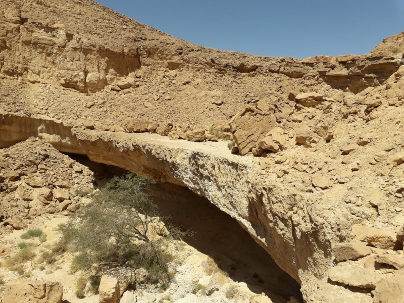 קובץ:מפלשיטהמנוחה.jpg